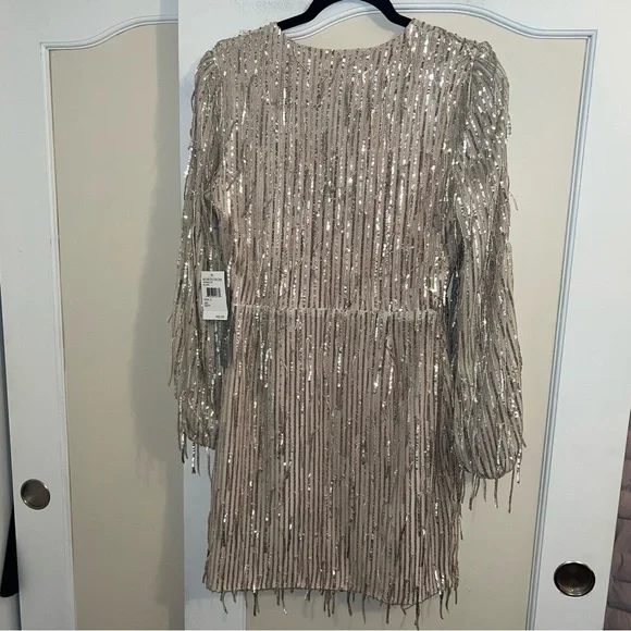 NwT Harlyn Silver Sequin Fringe Dress (Missing Belt) - Picture 6 of 13